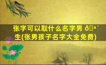 张字可以取什么名字男 🪴 生(张男孩子名字大全免费)